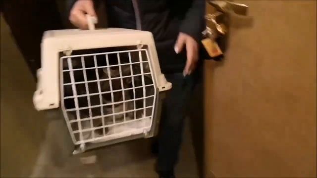 Искусство и Умелые Руки