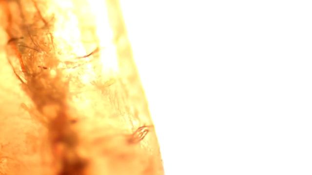 Что скрывается под ногтями ? смотреть онлайн