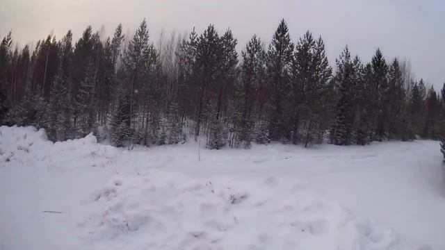 Газ 66 по лесовозным зимникам