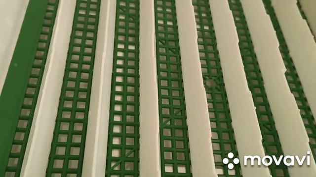Новый инкубатор. Результат инкубации. смотреть онлайн