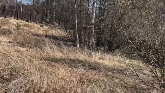 Порошкино, ул. Кленовая смотреть онлайн