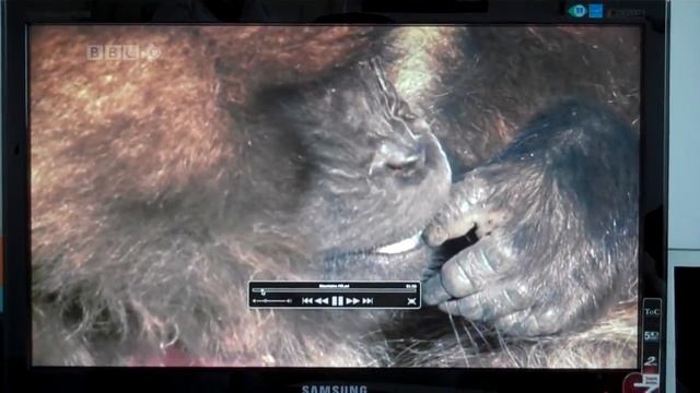 CHEAP Samsung Full HD 1080p monitor/TV - (honest) REVIEWED смотреть онлайн