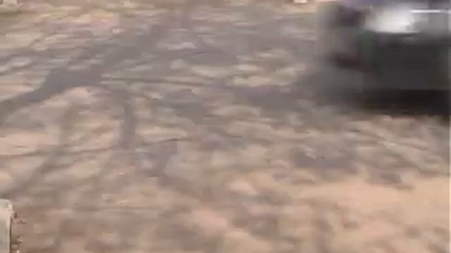 «Зебры» здесь не водятся смотреть онлайн