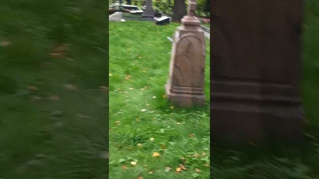 Оптина Пустынь, кладбище, звонница, могилы