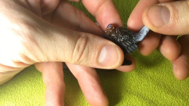 Игрушки: набор Животные Земли, BONDIBON смотреть онлайн