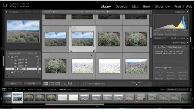 Metadados jstock1 смотреть онлайн