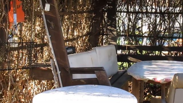 Как избавится от сорок на участке смотреть онлайн