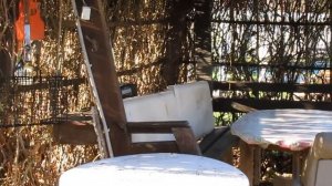 Как избавится от сорок на участке