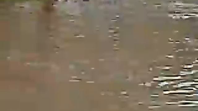 после дождя 18 июля 2010, Академгородок, Героев труда