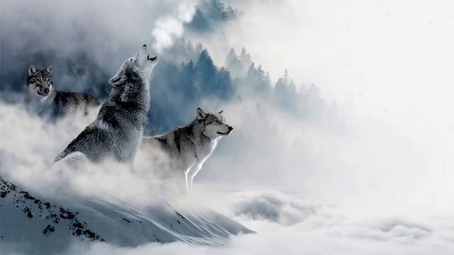 спиритическая музыка. шаманские мелодии смотреть онлайн