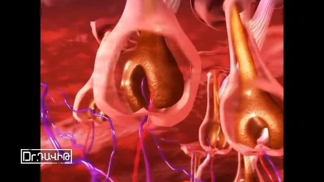 Լազերային մազահեռացում շոգ եղանակին