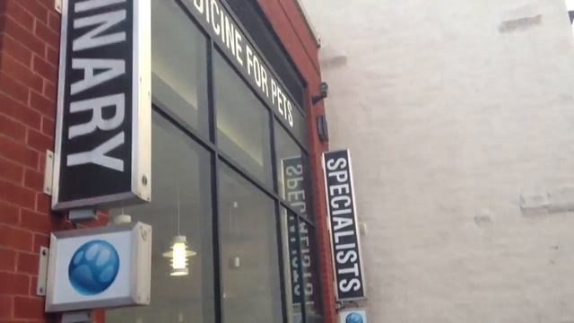 Ветеринарные клиники в Америке Домашние животные в США смотреть онлайн