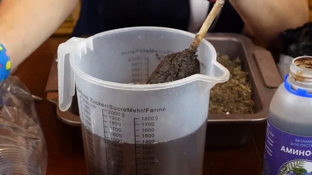Малина из коробки - Сажать, а не хранить! смотреть онлайн