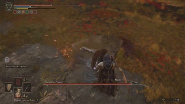 Elden Ring Black Knife Assassin Boss Fight смотреть онлайн