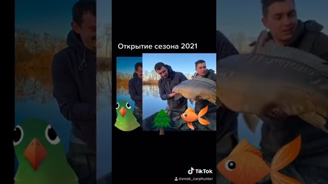 Открытие сезона 2021! Водоём Золотой берег! #рыбалка2021 #карпфишинг смотреть онлайн