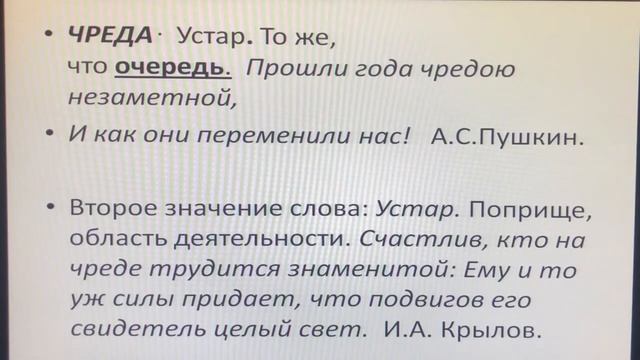 «Словарь – ступенька к мудрости»