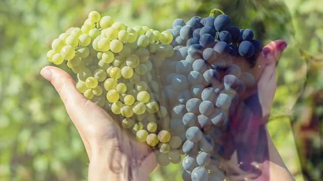 29 ЛУННЫЙ ДЕНЬ | КАКОЙ СЕГОДНЯ ЛУННЫЙ ДЕНЬ? смотреть онлайн