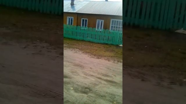 Поделка из шишек 1 часть смотреть онлайн