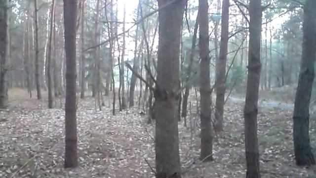golf mania:) смотреть онлайн