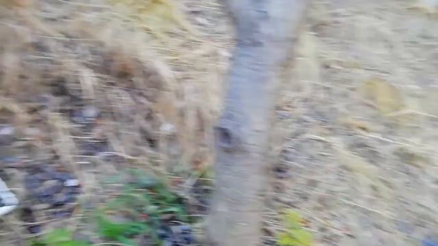 я был в Крыму 5 дней и снял начало смотреть онлайн