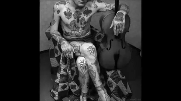 группа Владимир