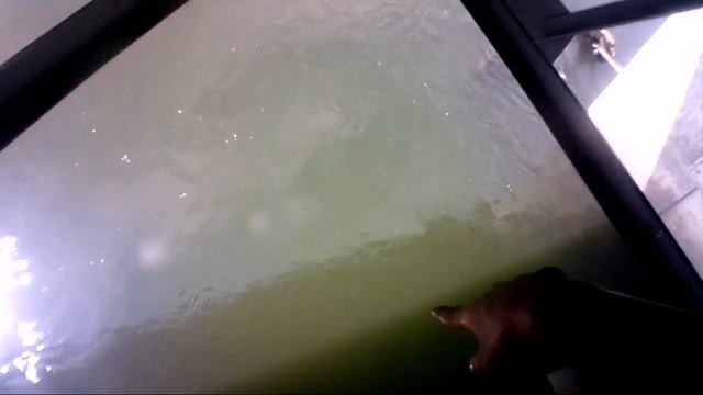 Крутое путешествие и вкусные суши. смотреть онлайн