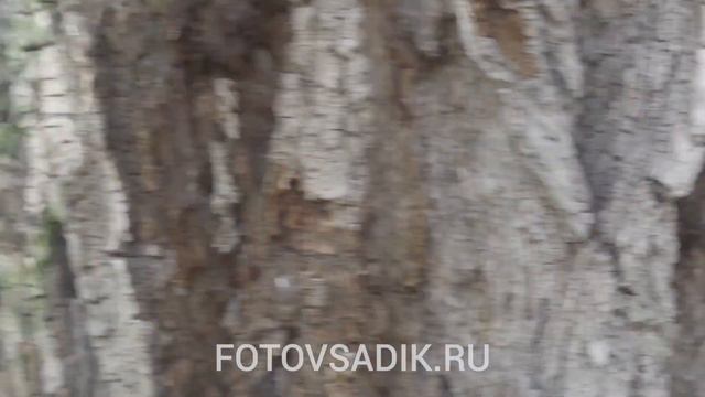 backstage Лицей 5 9а смотреть онлайн