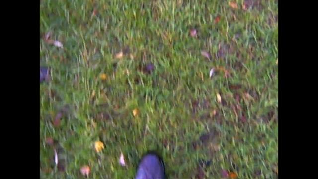 VHS CAMERA TEST смотреть онлайн
