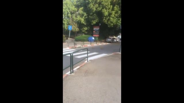 Кабаны в городе смотреть онлайн
