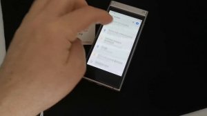 Краткий обзор разблокированного SAMSUNG W2019