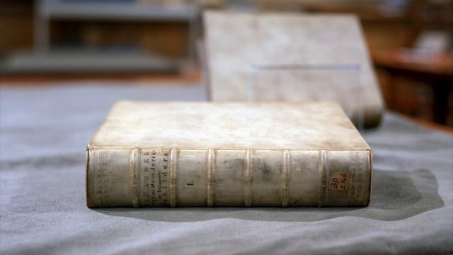 Van Mander rewrites art history смотреть онлайн