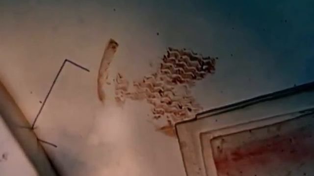 Forensic Files - Season 7, Episode 28 - Elephant Tracks - Full Episode