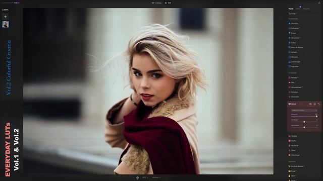 Everyday LUTs for Luminar NEO & AI | Aurora HDR | Photoshop • Vol.1-2 смотреть онлайн