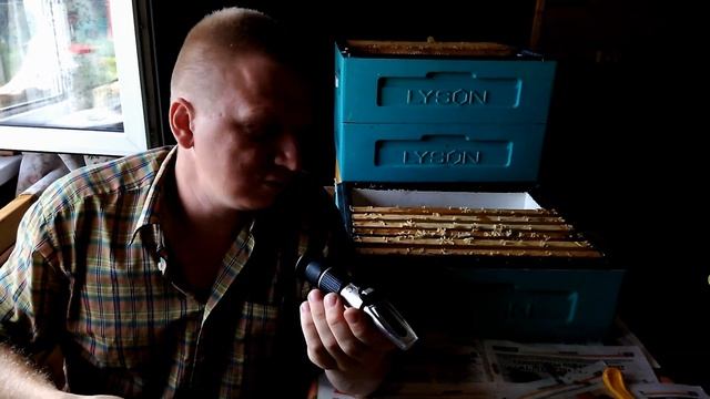 Медовый спас. Распечатка сот феном. Рефрактометр. смотреть онлайн