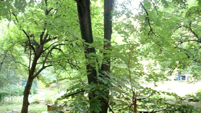 Две белочки смотреть онлайн