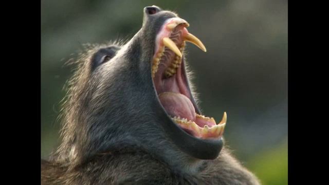 расслабляющие звуки для сна, уютнинько) смотреть онлайн