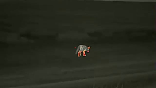 Лиса. с тепла iray sct 35. смотреть онлайн