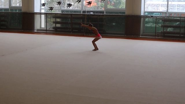 Художественная гимнастика выступление смотреть онлайн