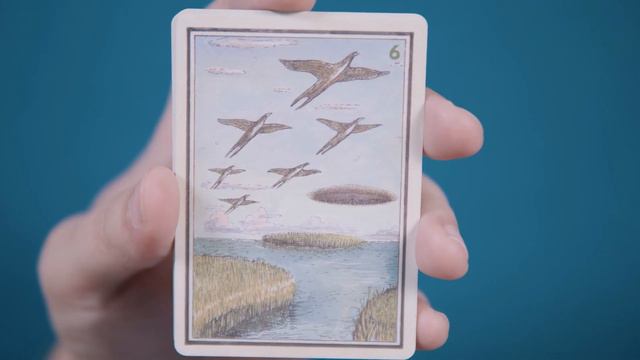 The Poker Deck of the Drowning World Review 4K смотреть онлайн