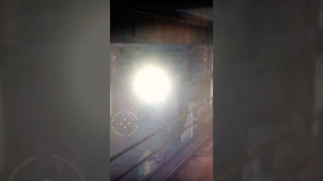 Баг в Warhammer 40,000; Space Marine