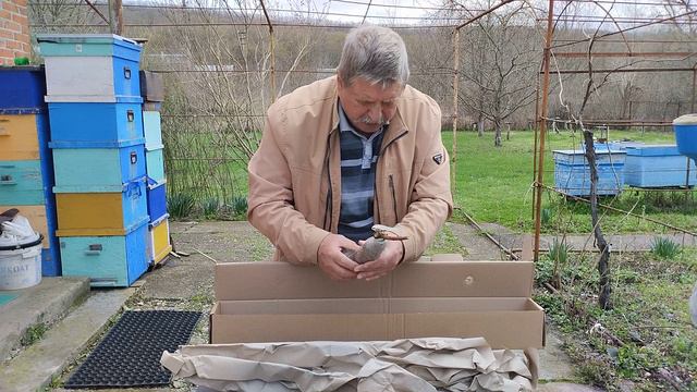 Получил с питомника посылку смотреть онлайн