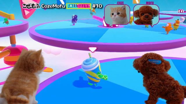 【Fall Guys】チーター飛んでいても のんびりプレイで上を目指す・・ Part10