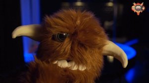 Спят усталые игрушки. ЖаримТВ