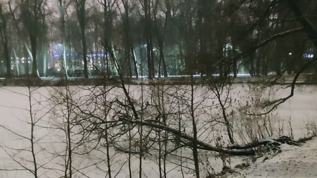 VID 20221206 220212 Незнакомый друг 1903 (А. Белый)...Павел Васильев Лахтинский смотреть онлайн