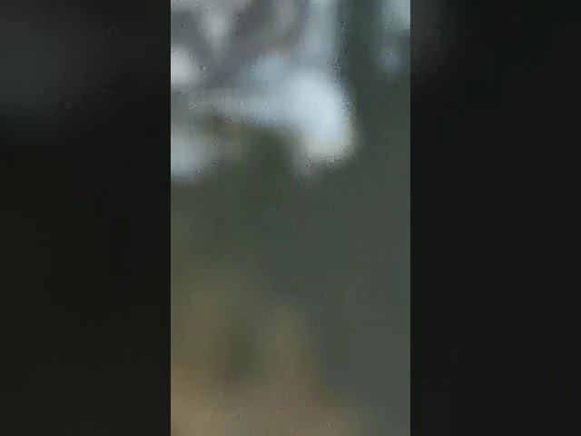 18 июля 2022 г. смотреть онлайн