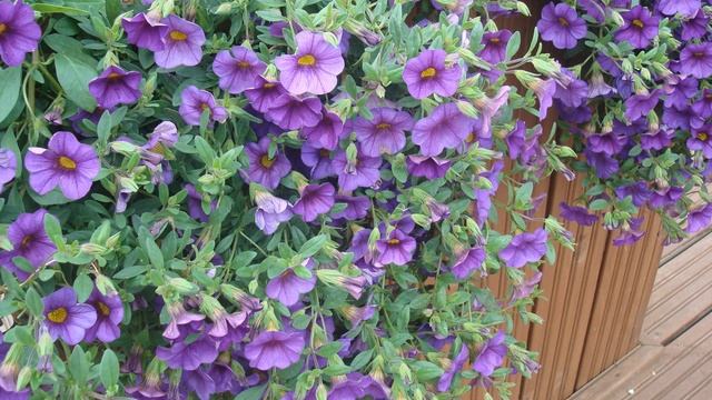 Путешествие по Финляндии, июнь 2011года, город Лахти часть 2. смотреть онлайн