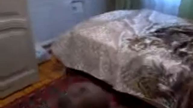 Как видёт себя мой брат когда меня нет дома смотреть онлайн