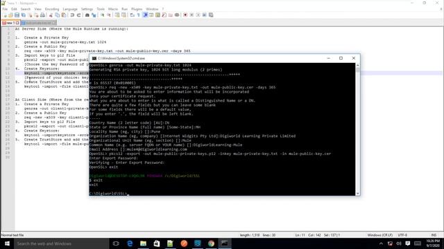 Mule 4 - Configure HTTPS (1-way SSL and 2-way SSL Implementation) смотреть онлайн