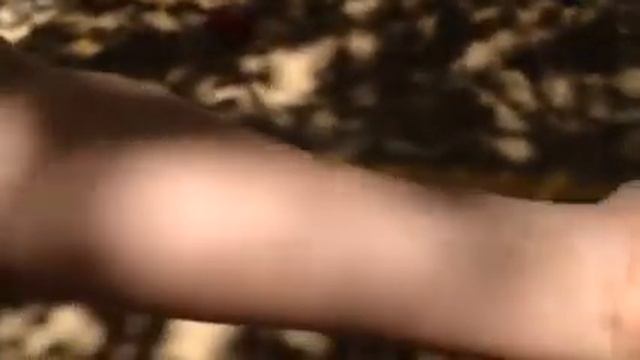 Смешная гусеница ))) смотреть онлайн