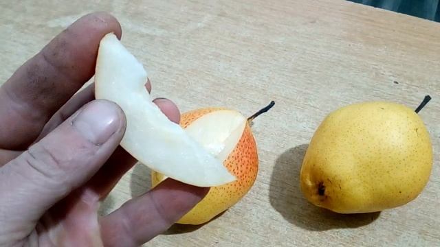 Сорт груші Киргизька смотреть онлайн